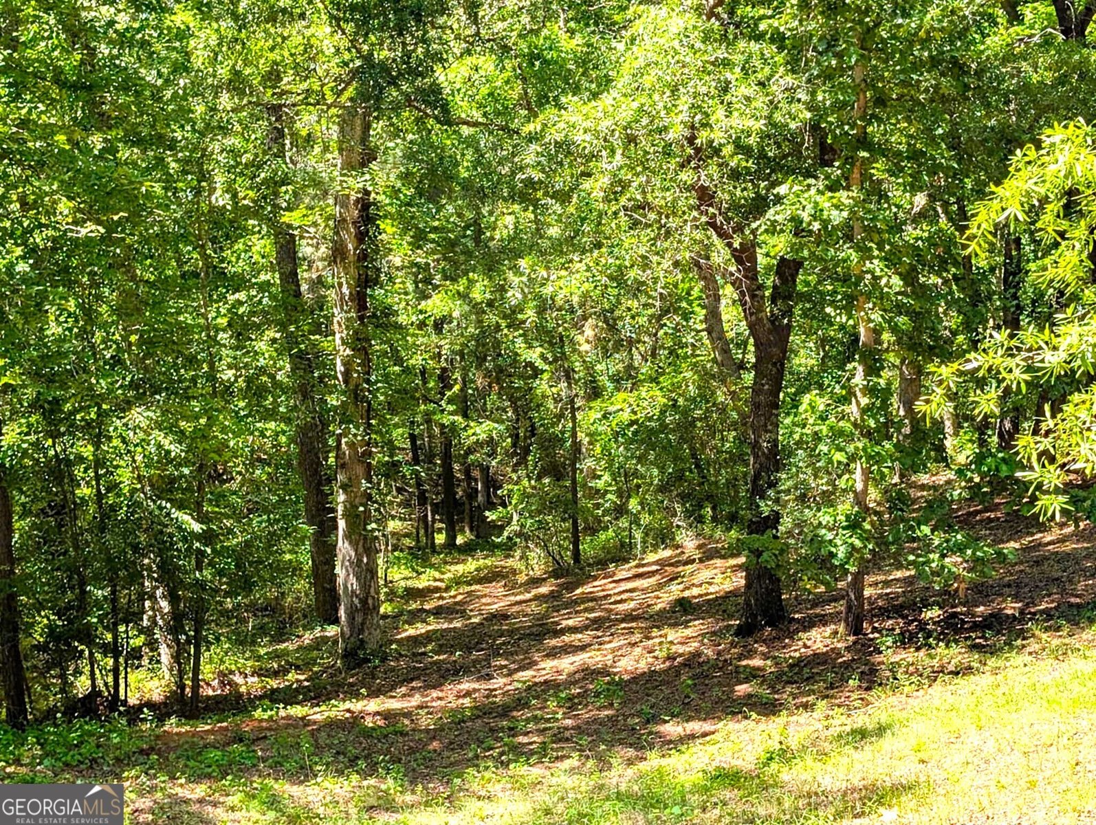 3091 Tribble Road Fort Valley - 12