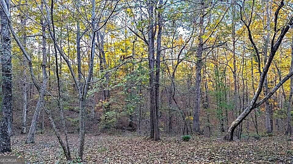 3091 Tribble Road Fort Valley - 15