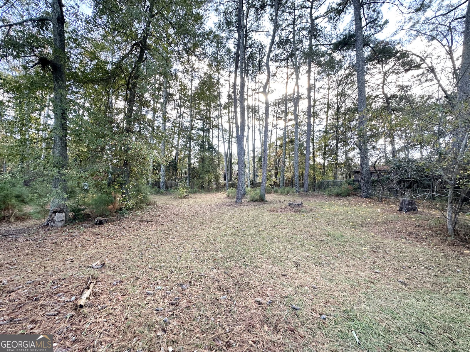 7125 Rhodes Street Lithonia - 29
