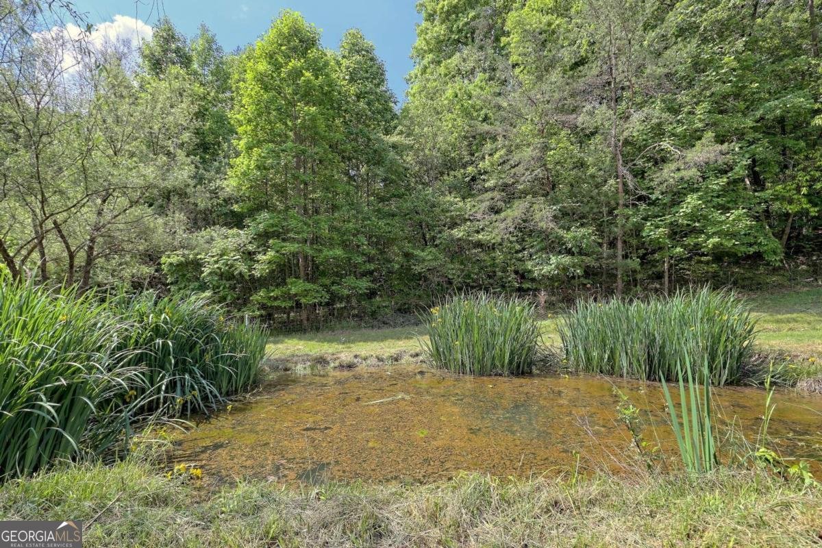 2685 Messer Road Young Harris - 88