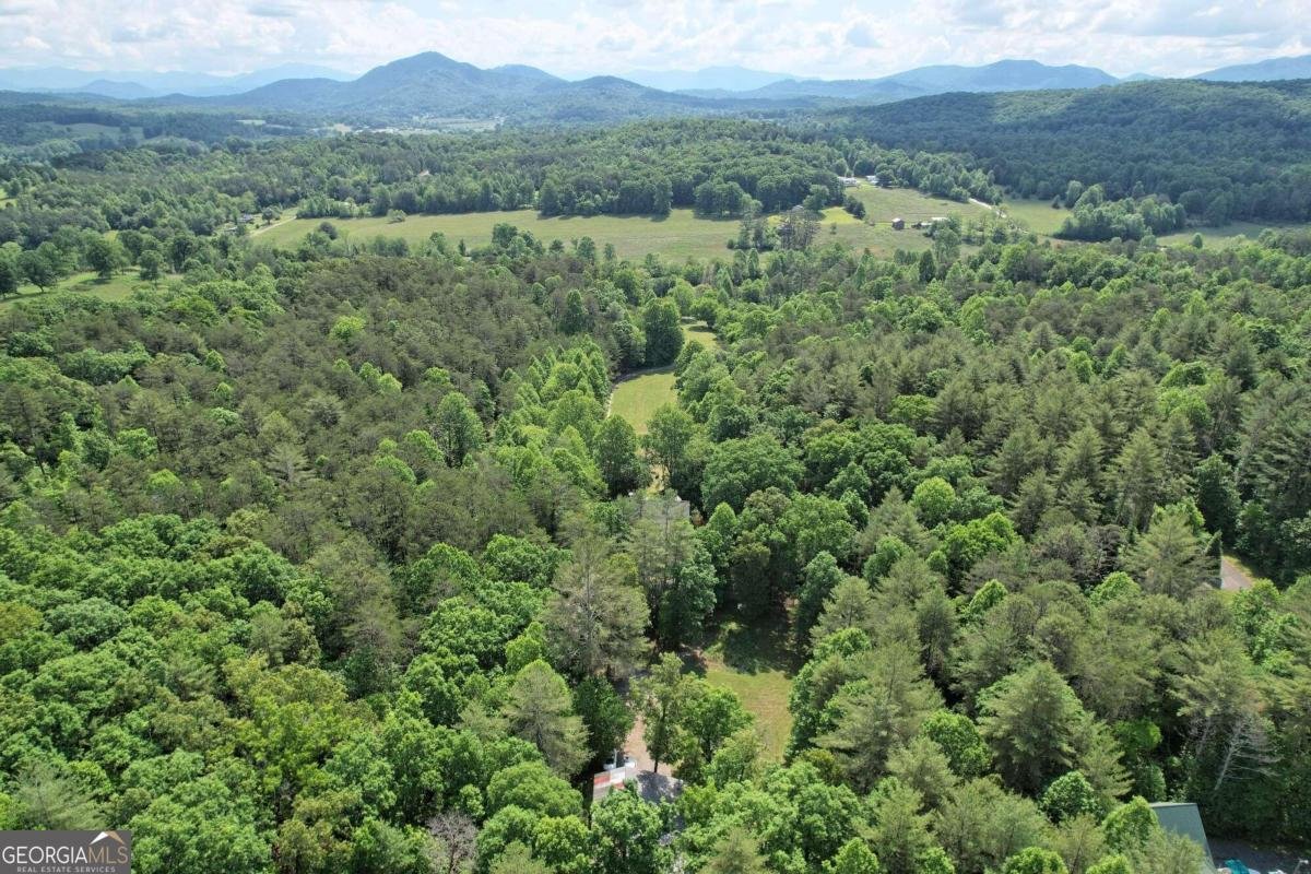 2685 Messer Road Young Harris - 94