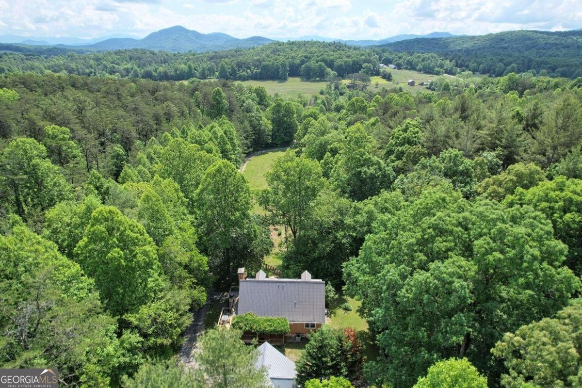 2685 Messer Road Young Harris - 95