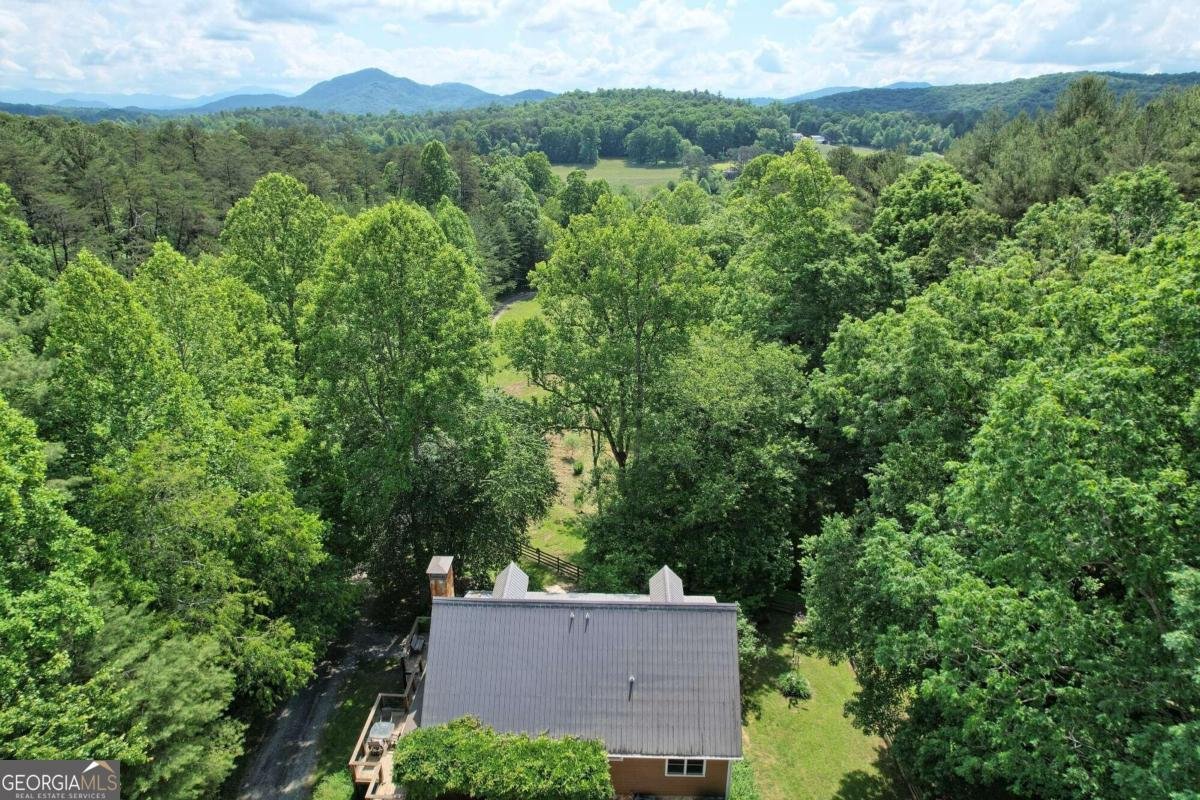 2685 Messer Road Young Harris - 96
