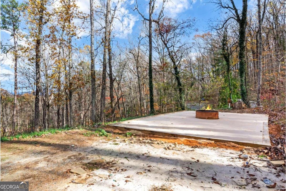 24 Virginia Drive Blue Ridge - 45