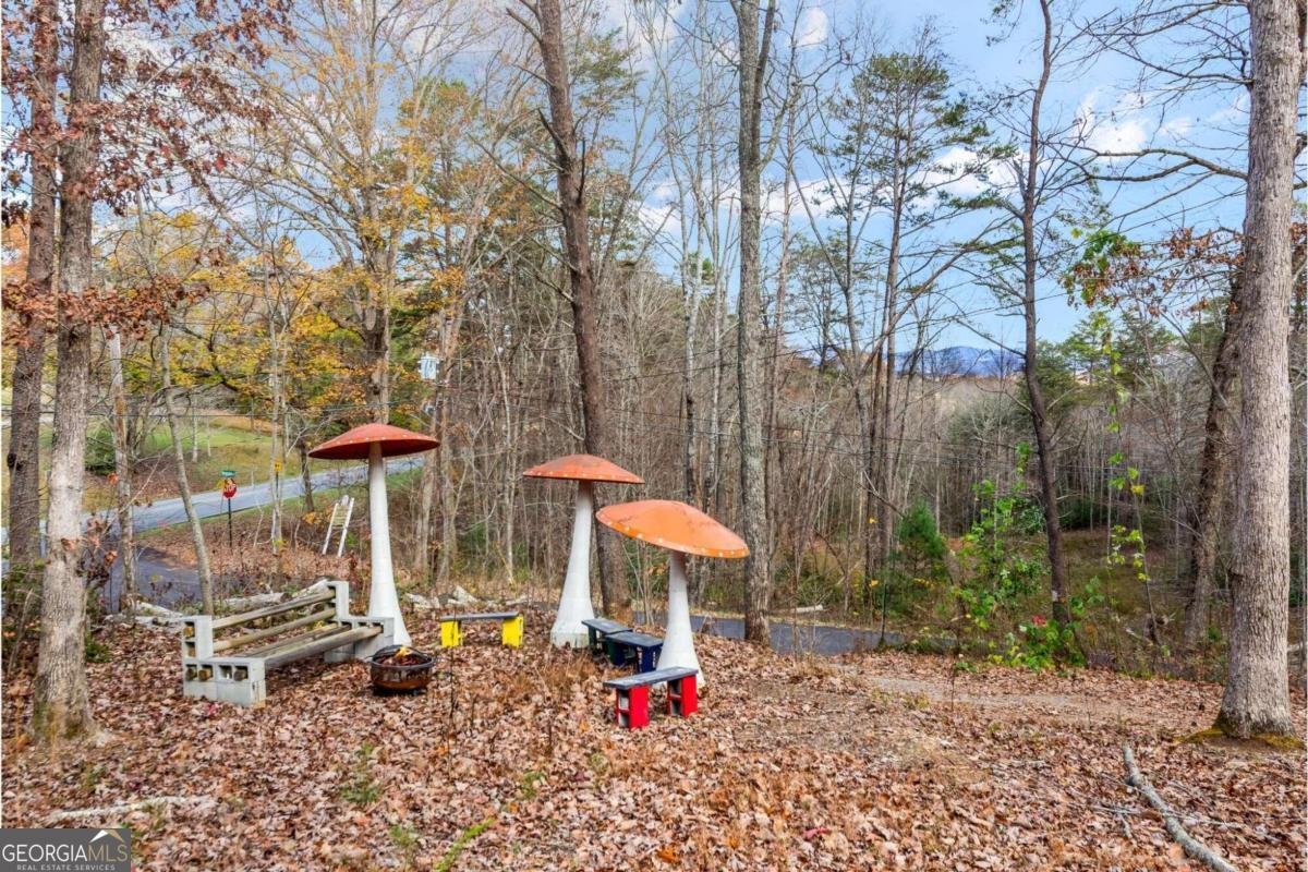 24 Virginia Drive Blue Ridge - 46