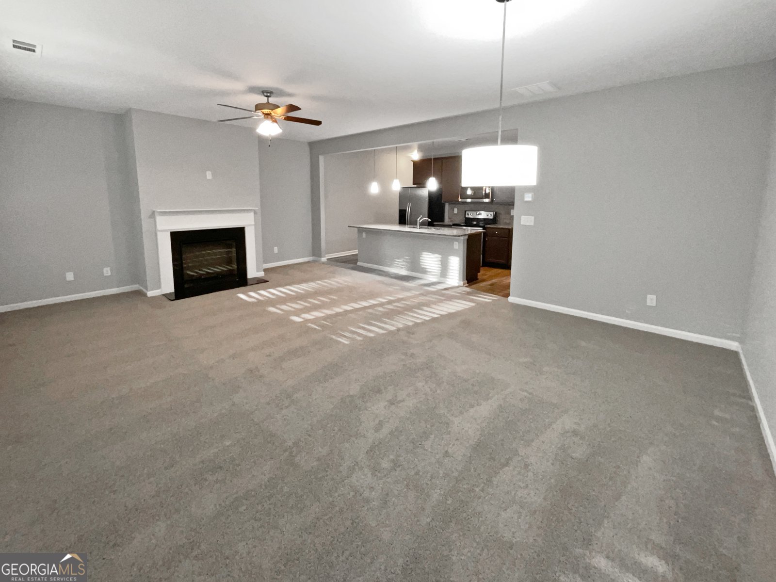 3279 Wild Basil Lane Buford - 24
