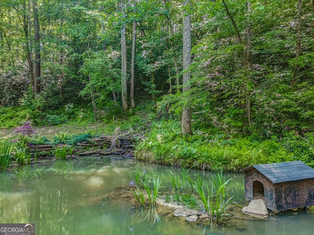 241 Green Ridge Road Jasper - 12
