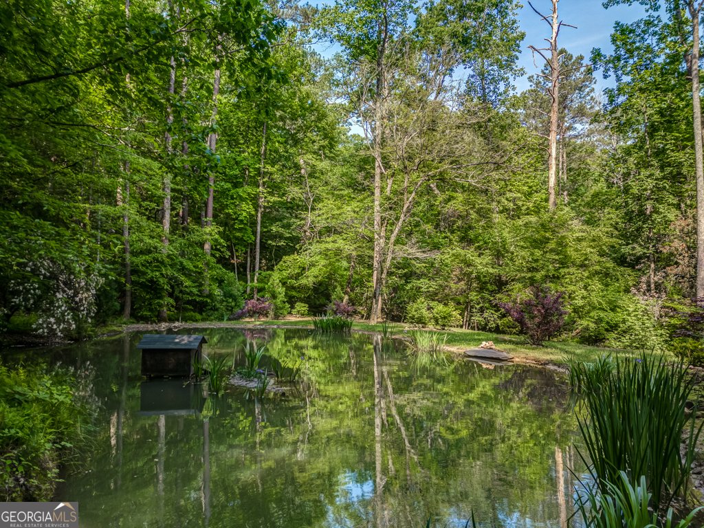 241 Green Ridge Road Jasper - 14