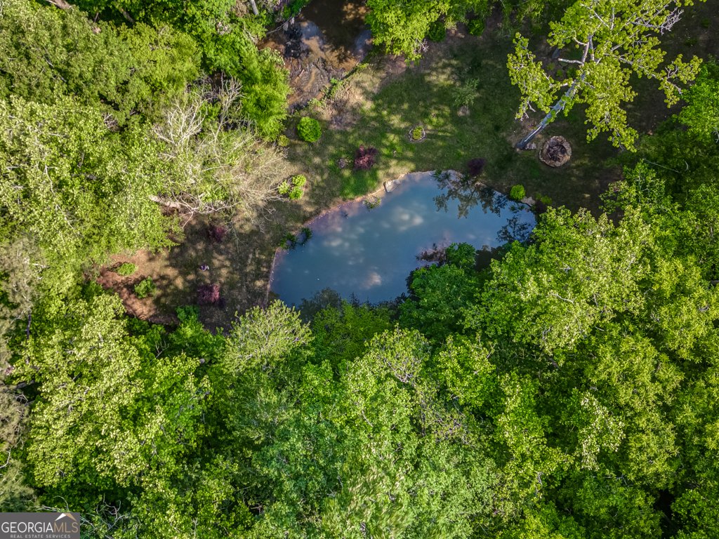 241 Green Ridge Road Jasper - 16