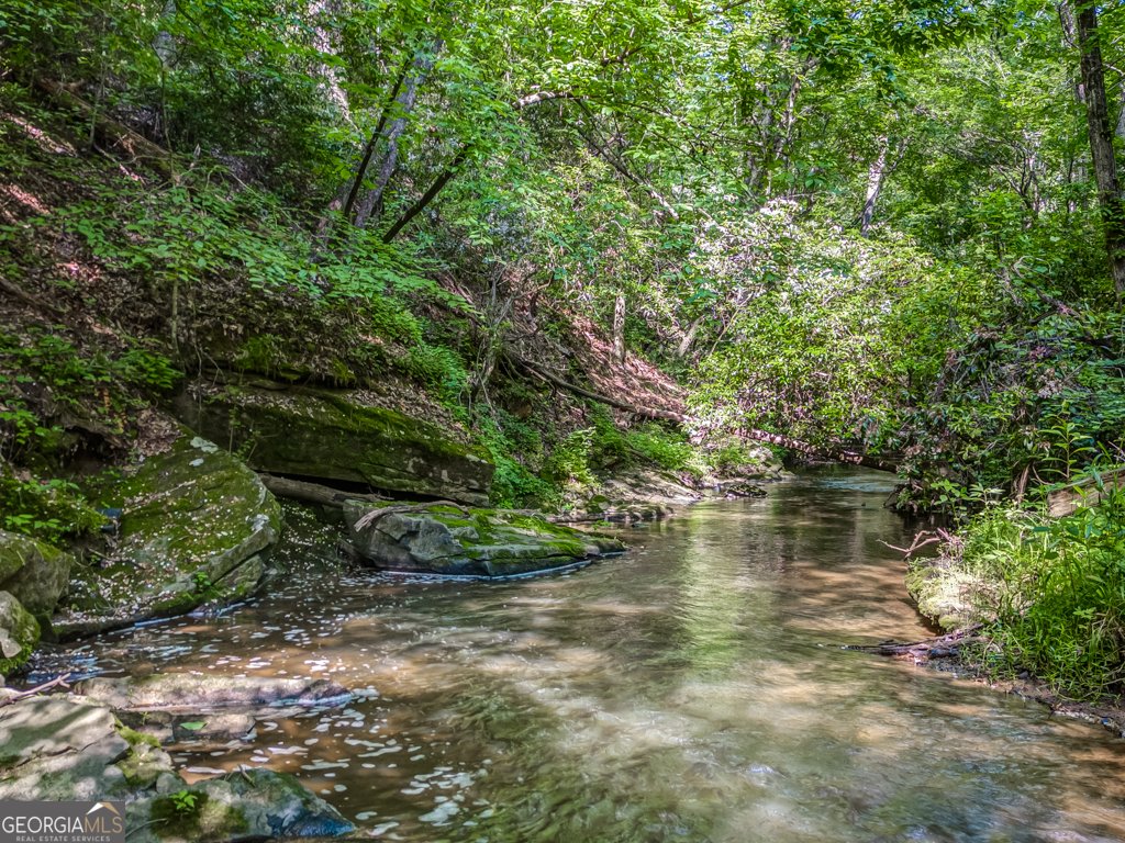 241 Green Ridge Road Jasper - 18