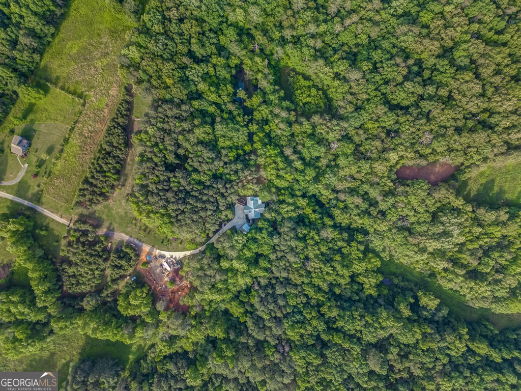 241 Green Ridge Road Jasper - 2