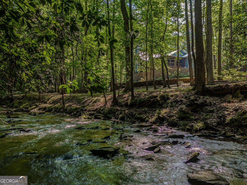 241 Green Ridge Road Jasper - 20