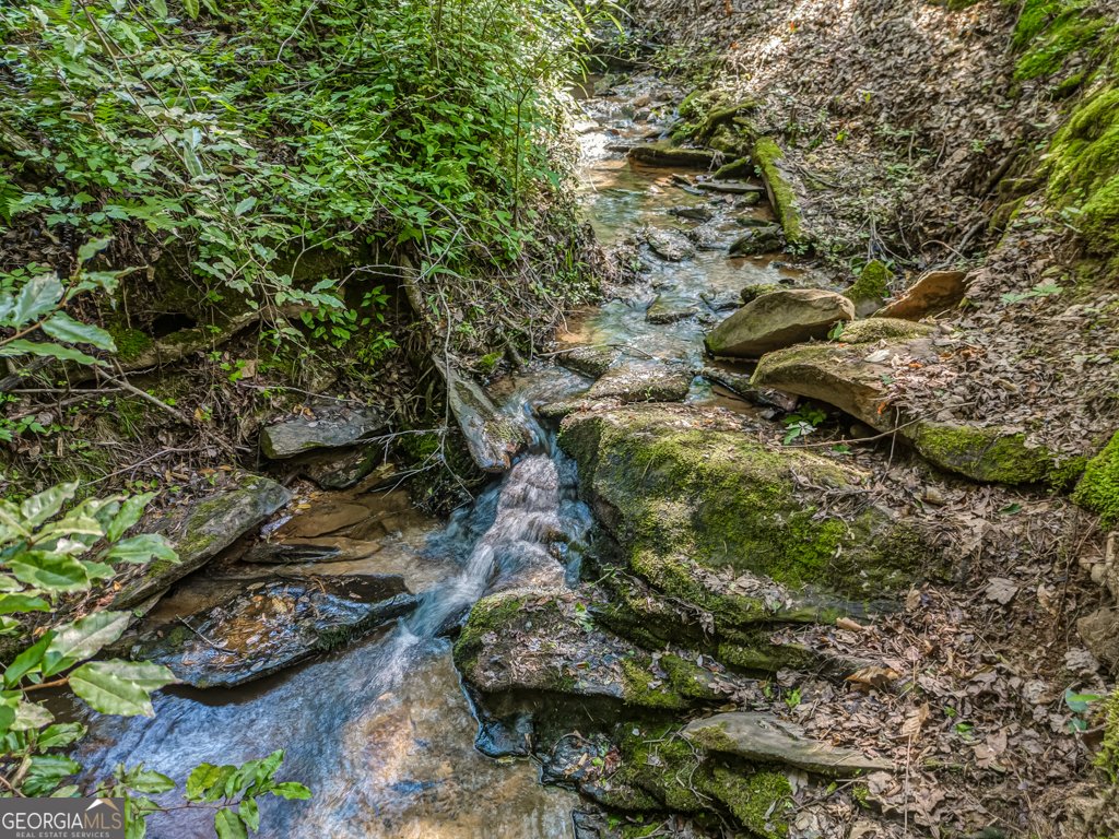 241 Green Ridge Road Jasper - 22