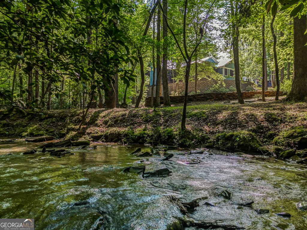 241 Green Ridge Road Jasper - 23