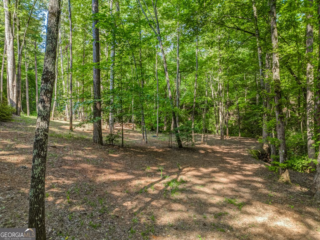 241 Green Ridge Road Jasper - 28