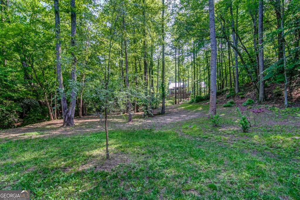 241 Green Ridge Road Jasper - 89