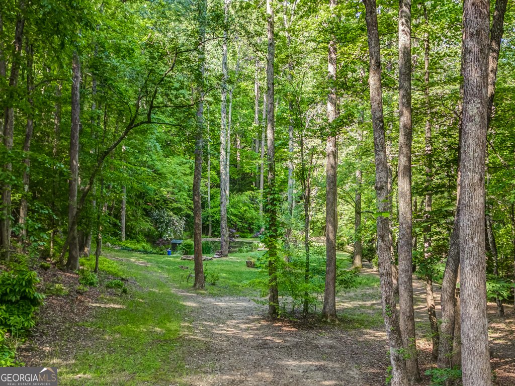 241 Green Ridge Road Jasper - 9