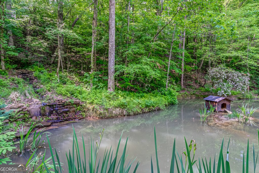 241 Green Ridge Road Jasper - 91