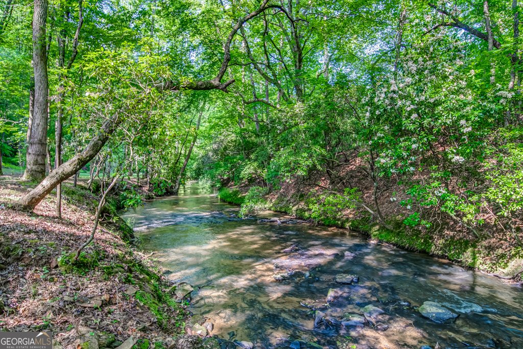 241 Green Ridge Road Jasper - 95