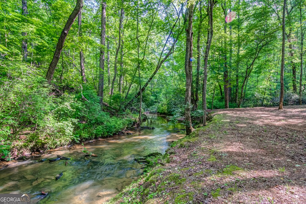 241 Green Ridge Road Jasper - 96