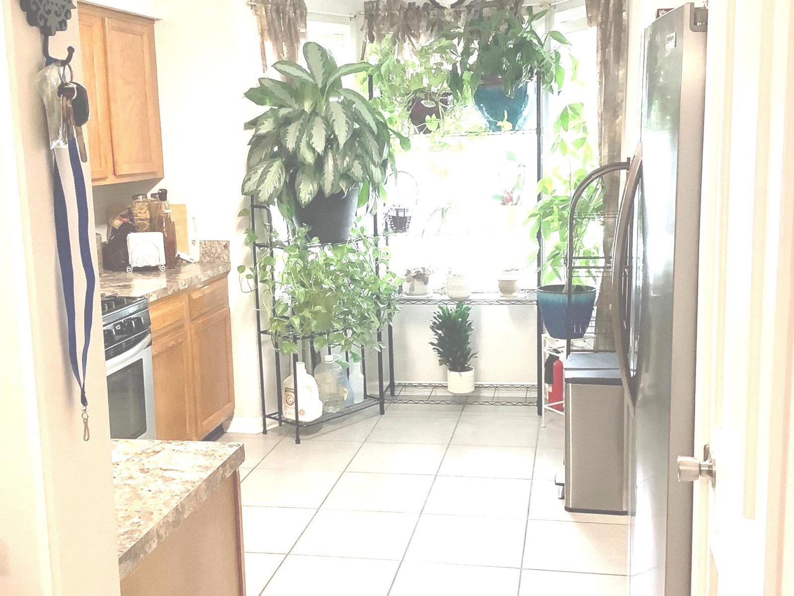 6390 Arbor Lane Morrow - 8
