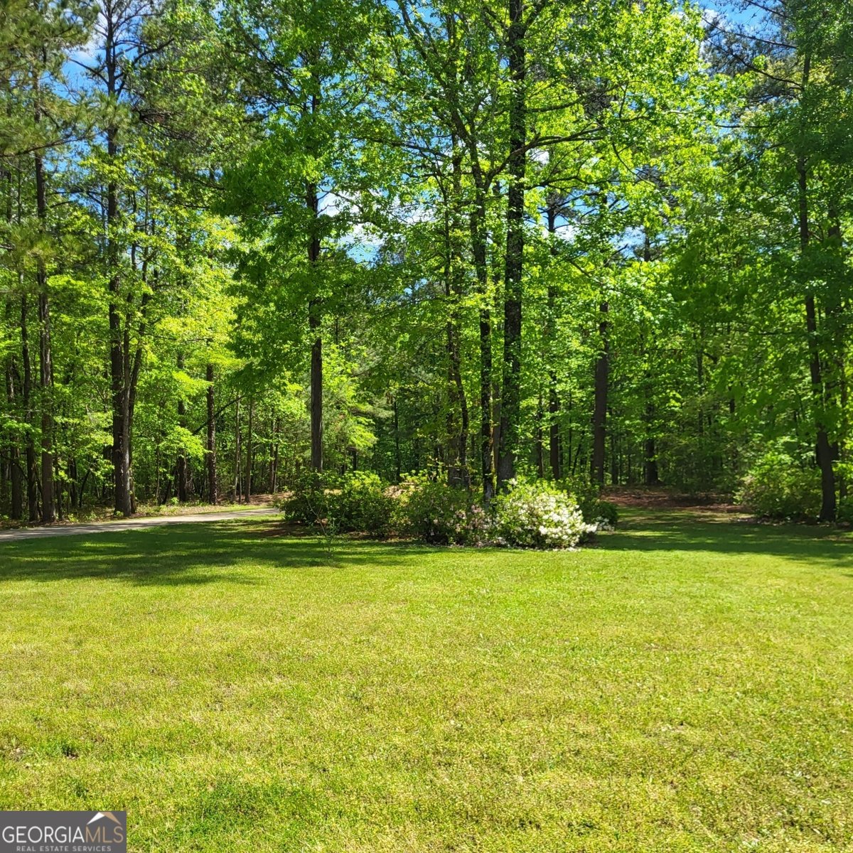 1155 Co Rd 517 Lanett - 44
