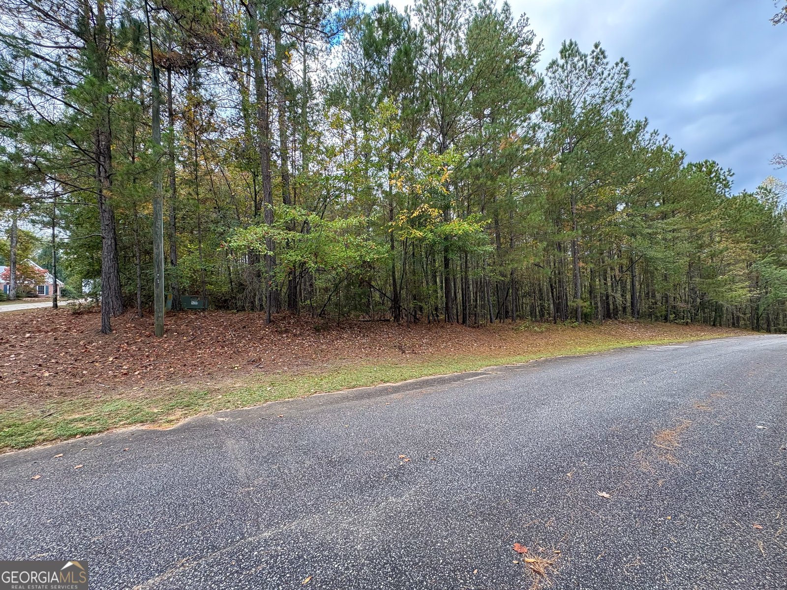 1155 Co Rd 517 Lanett - 47