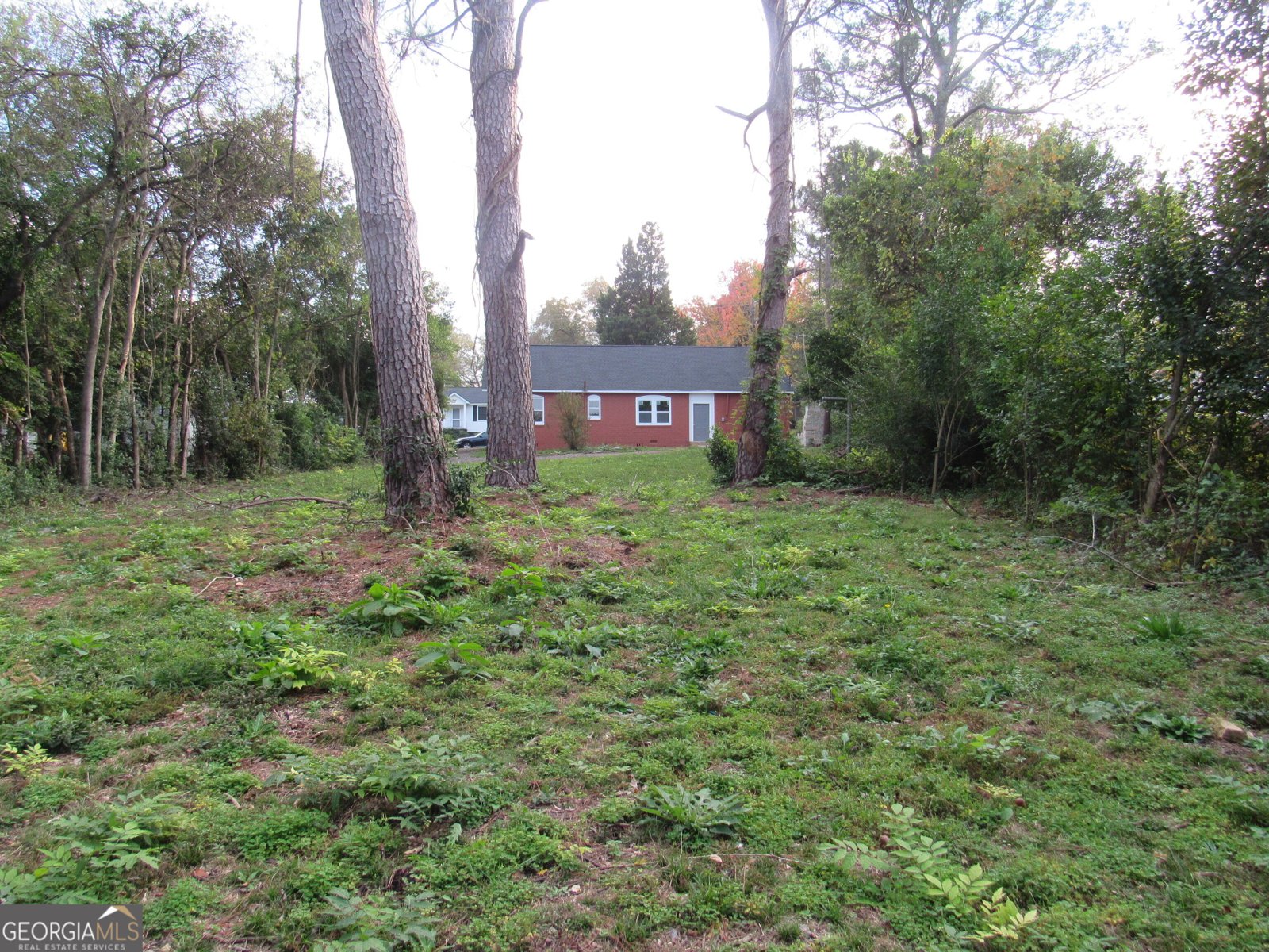 1275 Triple Hill Drive Macon - 17