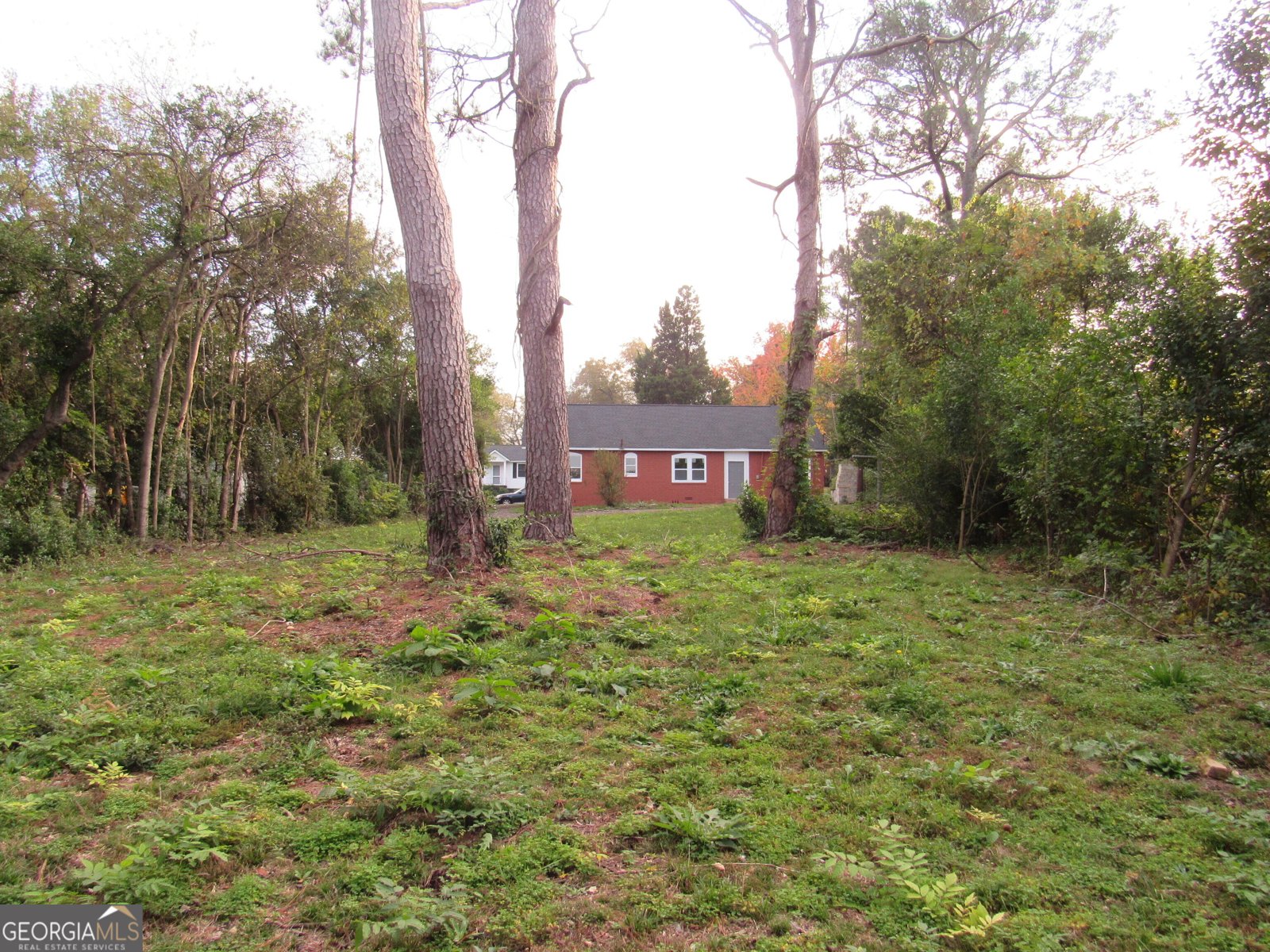 1275 Triple Hill Drive Macon - 19