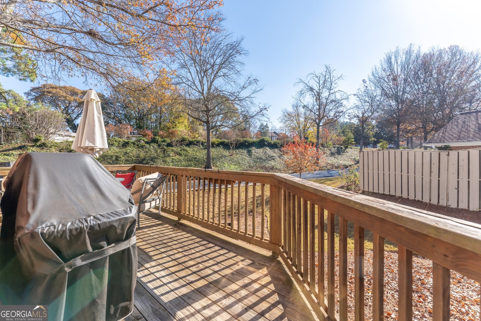 111 Swanton Hill Court Decatur - 4