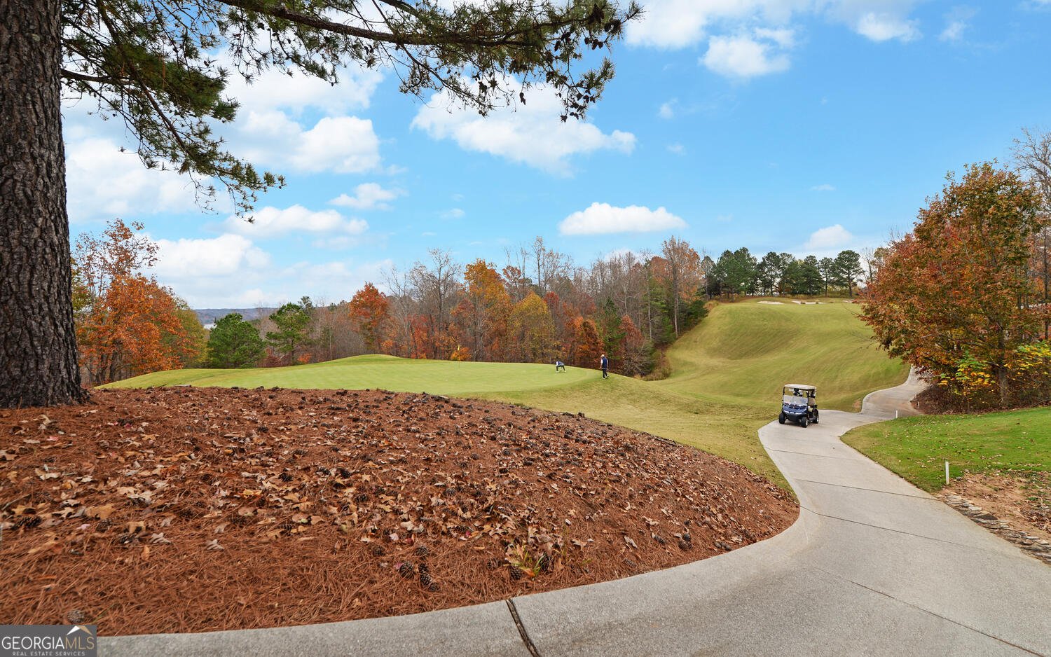 29 Cottage Lane Toccoa - 46