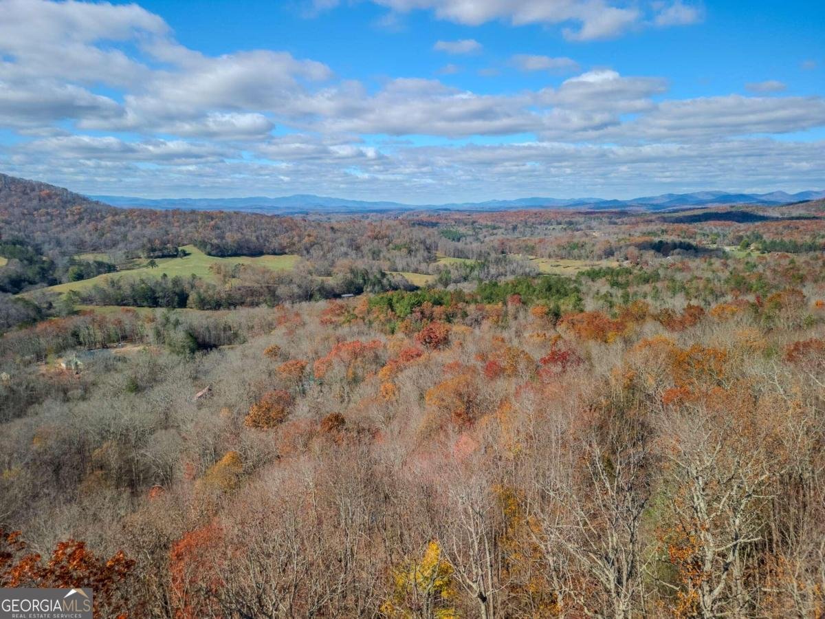 145 Hoot Owl Ridge Morganton - 38
