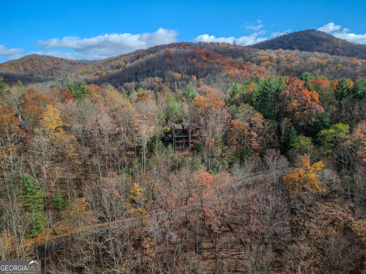 145 Hoot Owl Ridge Morganton - 40
