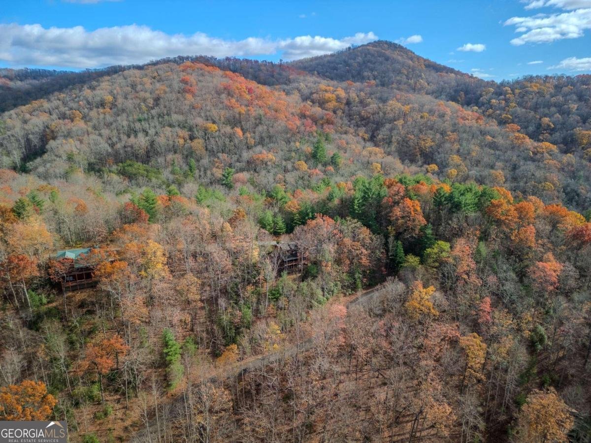 145 Hoot Owl Ridge Morganton - 41