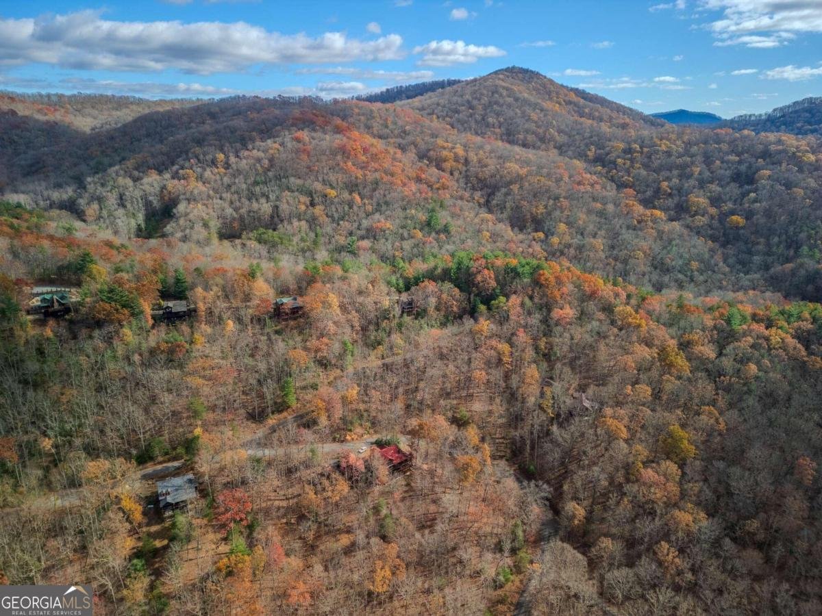 145 Hoot Owl Ridge Morganton - 42