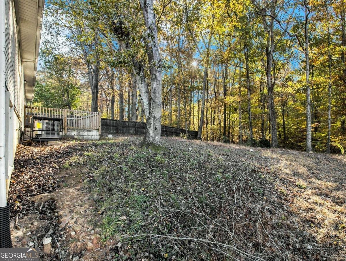 3811 Paul Street Douglasville - 18