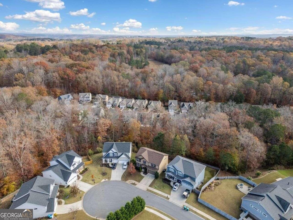 904 Berry Court Canton - 36