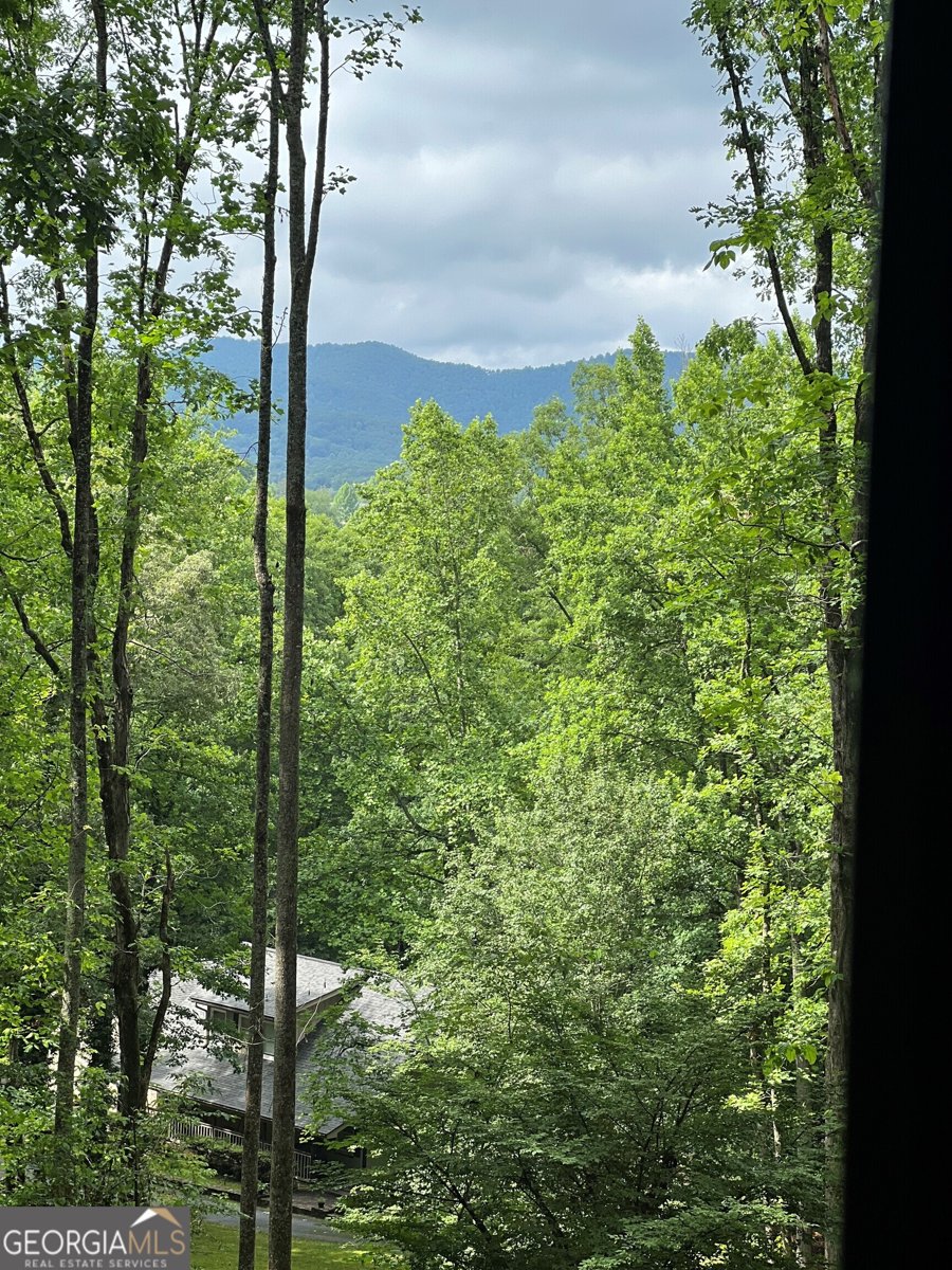 192 Brookwood Drive Blairsville - 2