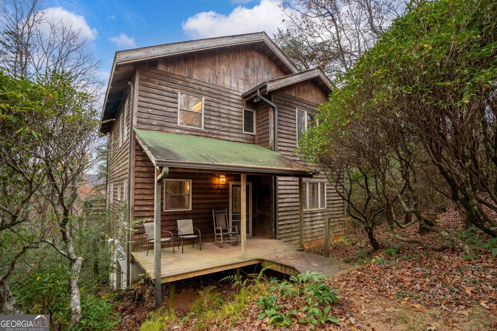 198 Hollow Log Trail Ellijay - 1
