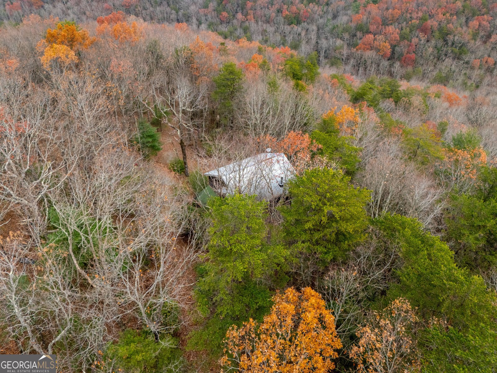 198 Hollow Log Trail Ellijay - 2