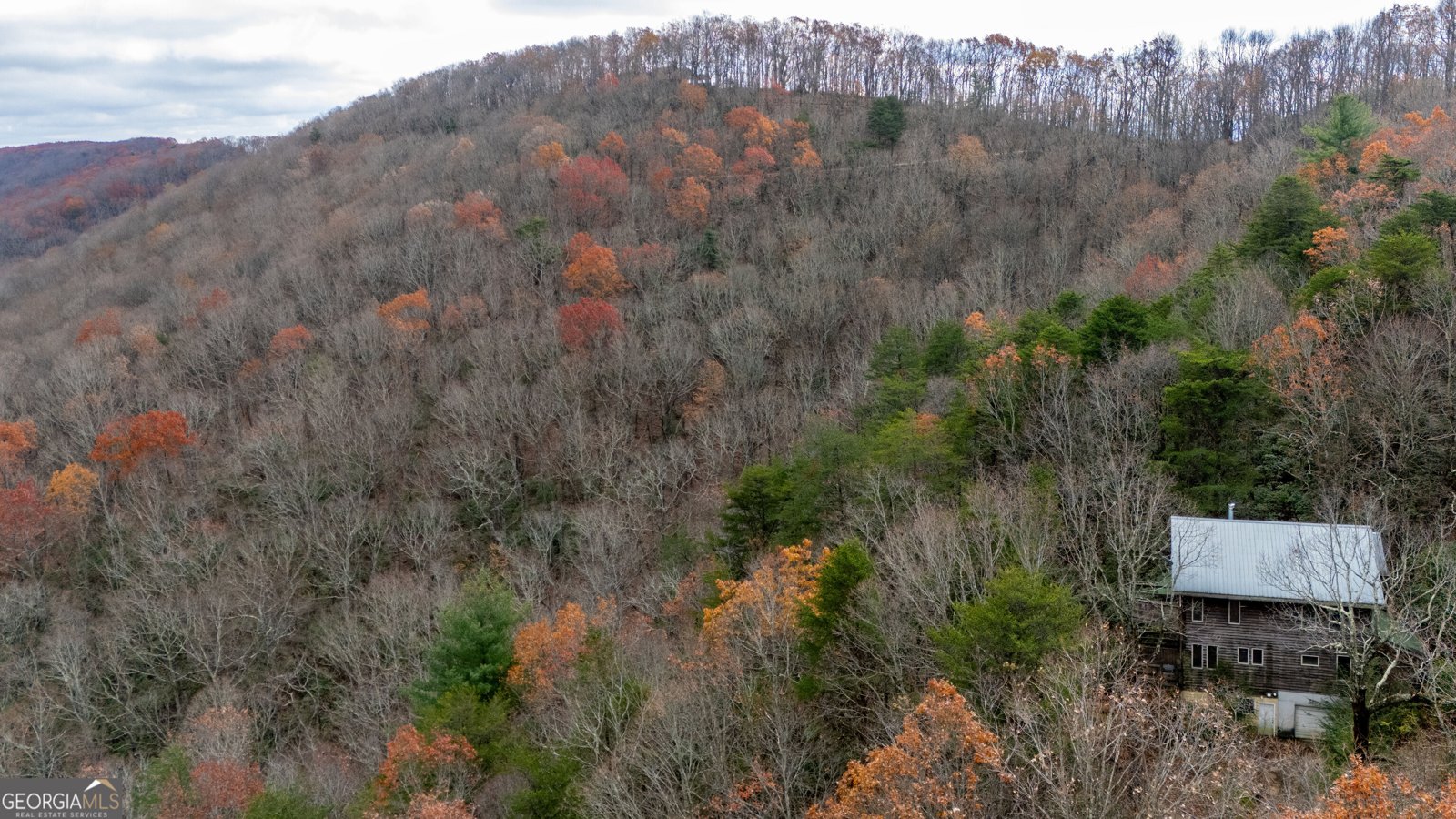 198 Hollow Log Trail Ellijay - 21