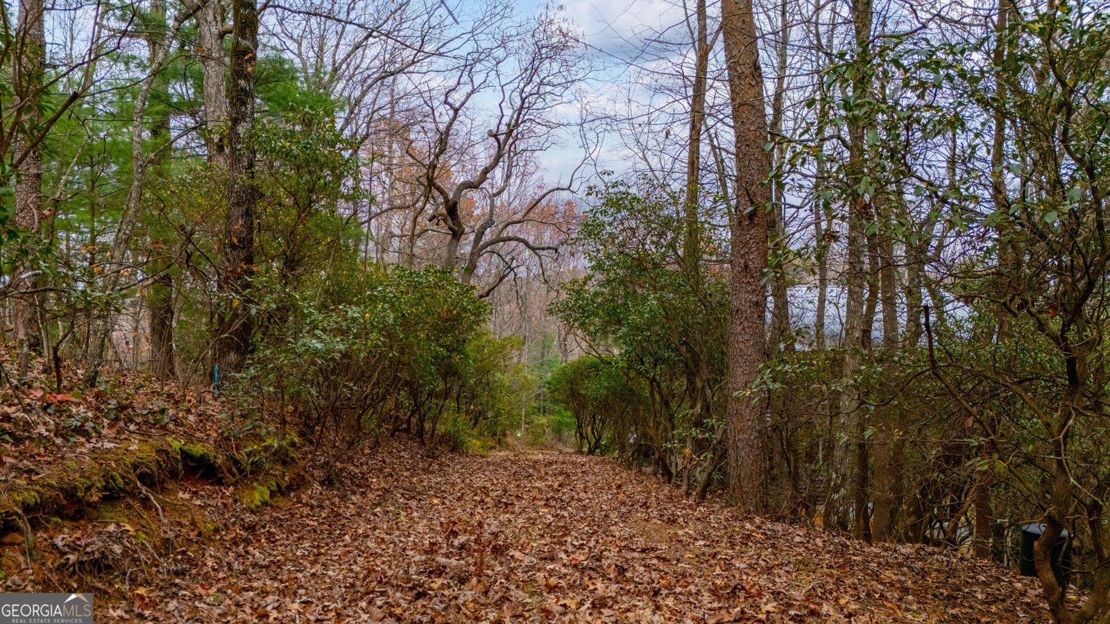 198 Hollow Log Trail Ellijay - 22