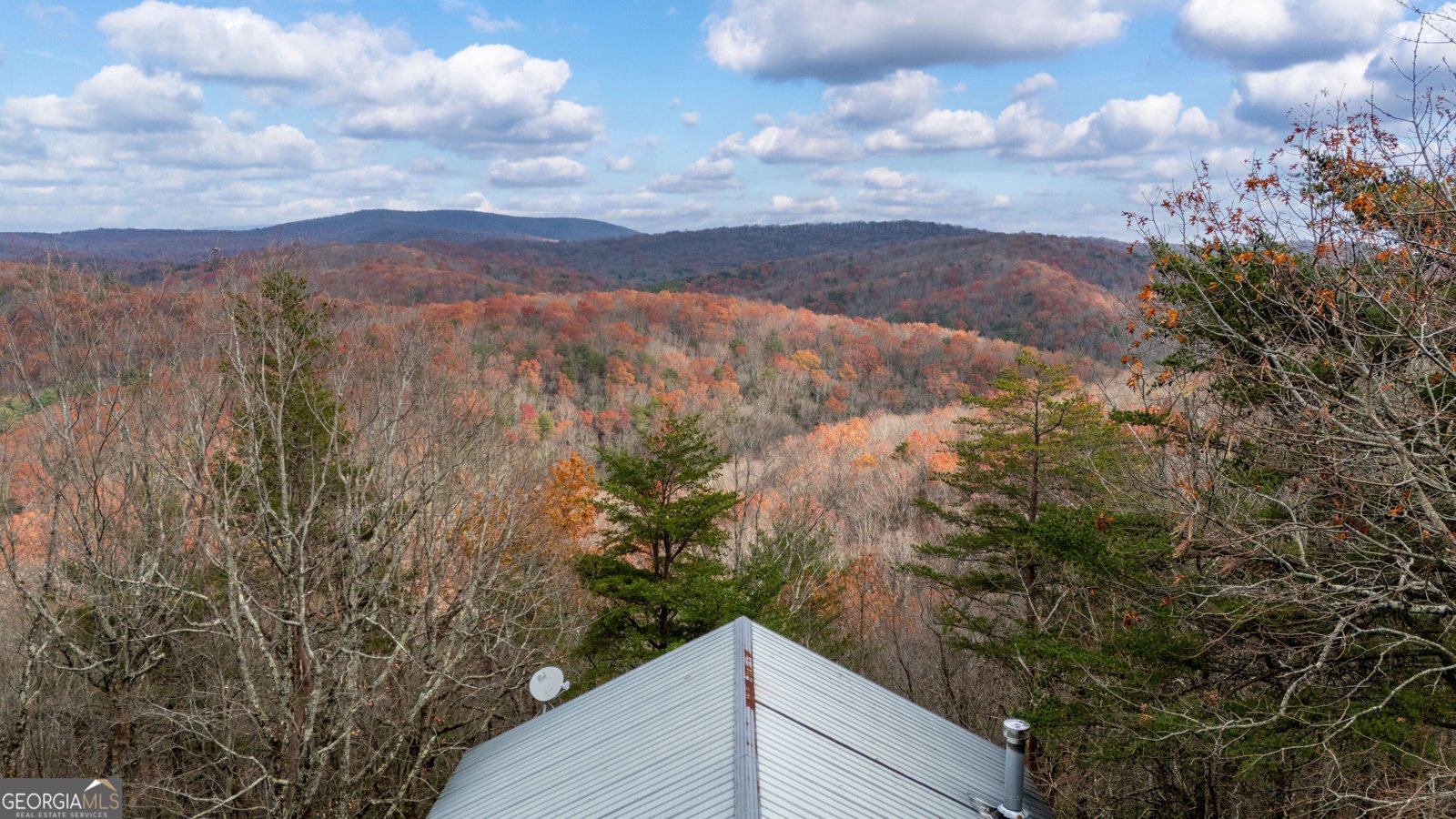 198 Hollow Log Trail Ellijay - 23