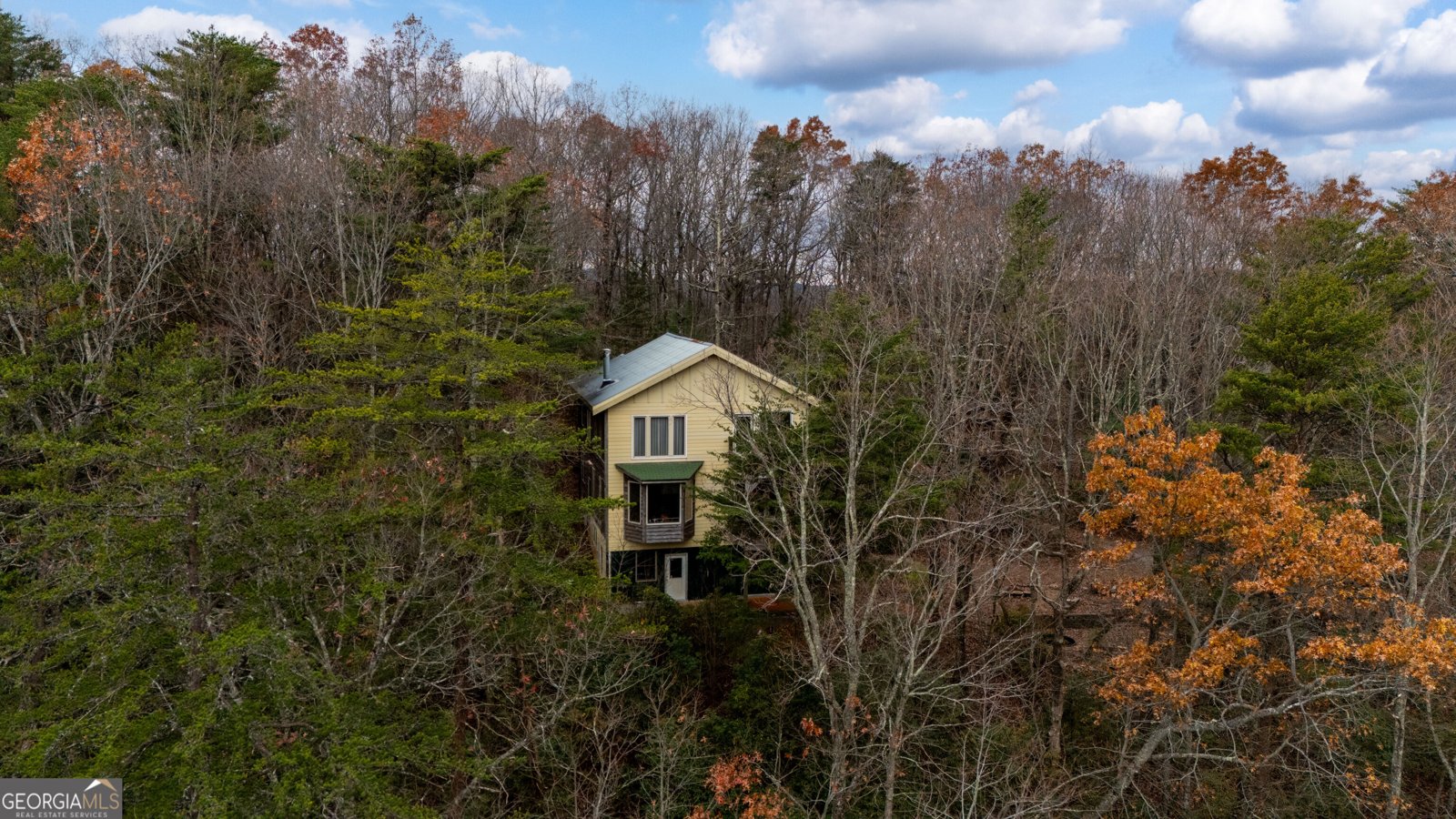 198 Hollow Log Trail Ellijay - 26