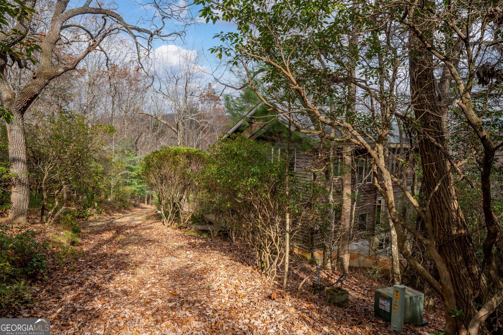 198 Hollow Log Trail Ellijay - 27