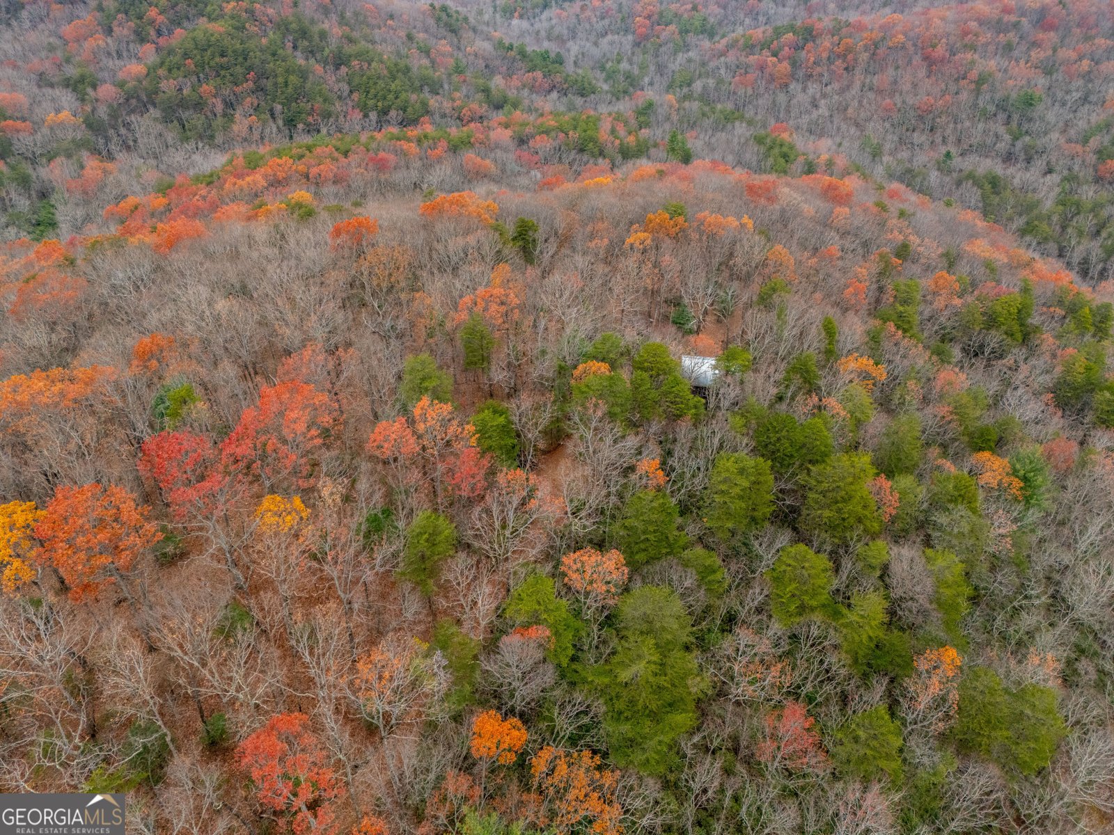 198 Hollow Log Trail Ellijay - 3