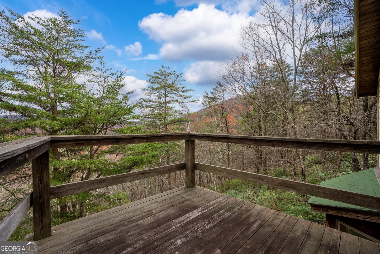 198 Hollow Log Trail Ellijay - 37