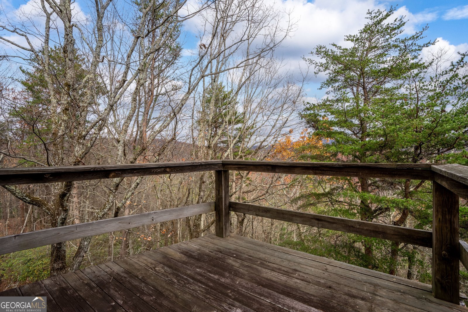 198 Hollow Log Trail Ellijay - 39