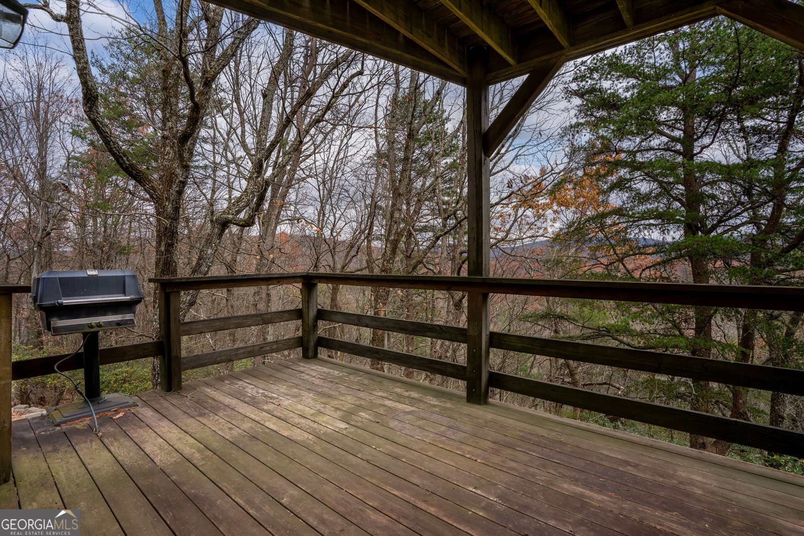198 Hollow Log Trail Ellijay - 40