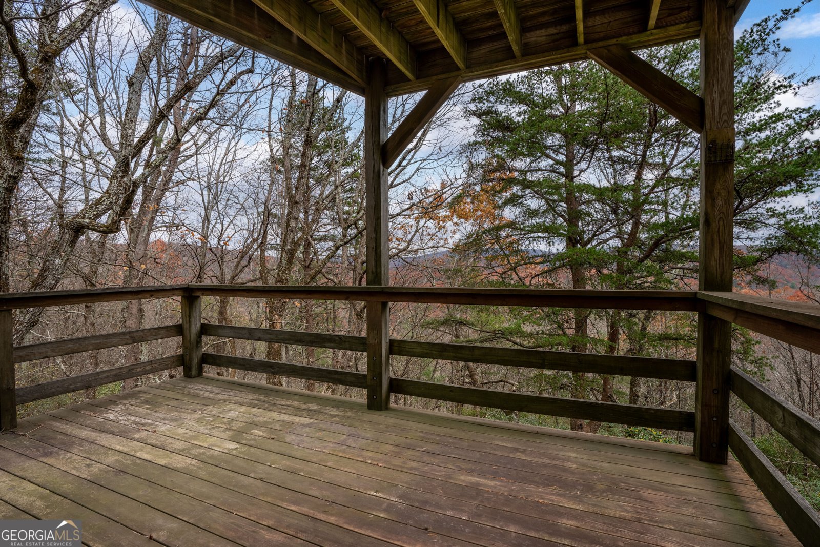 198 Hollow Log Trail Ellijay - 41